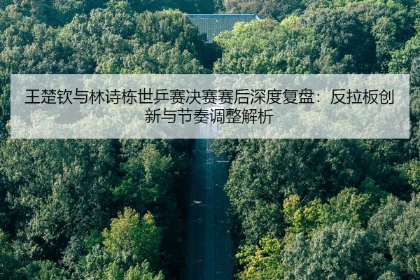 wang-chu-qin-yu-lin-shi-dong-shi-ping-sai-jue-sai-sai-hou-shen-du-fu-pan-fan-la-ban-chuang-xin-yu-jie-zou-tiao-zheng-2-358.jpg
